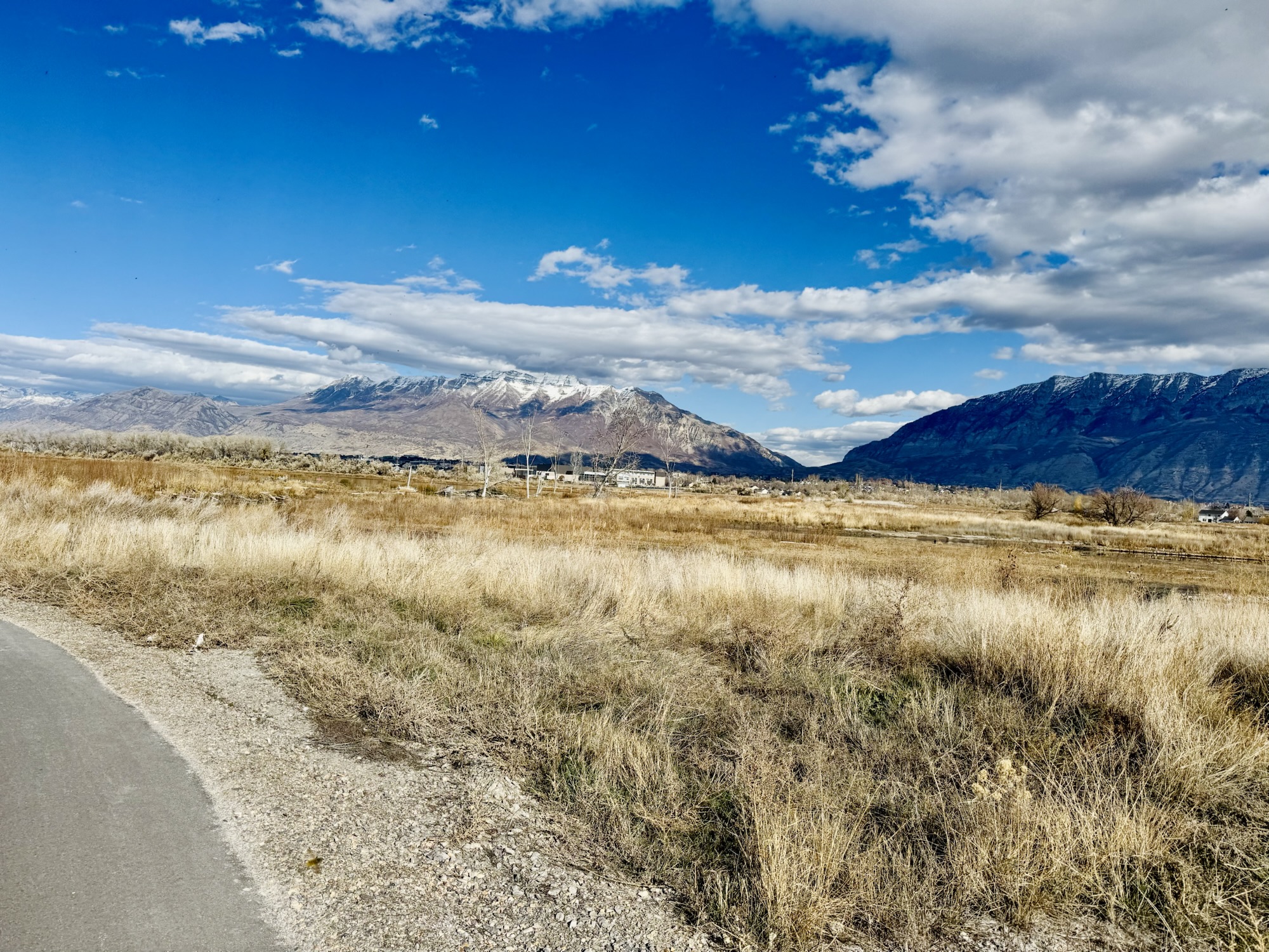 Jared Harding Wilson Running along the Provo river Parkway trail with Mount Timpanogos in the distance
