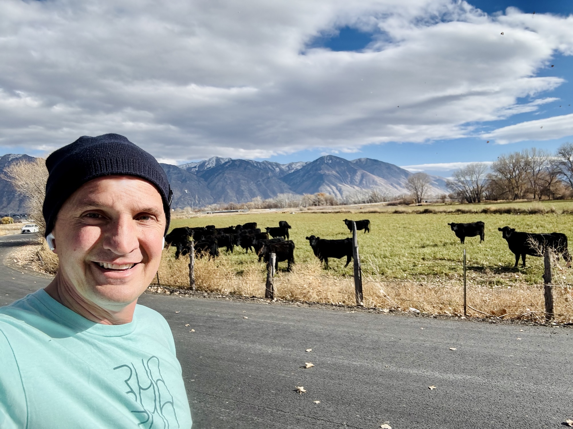 Jared Harding Wilson Passing Cows along the Provo River Parkway Trail