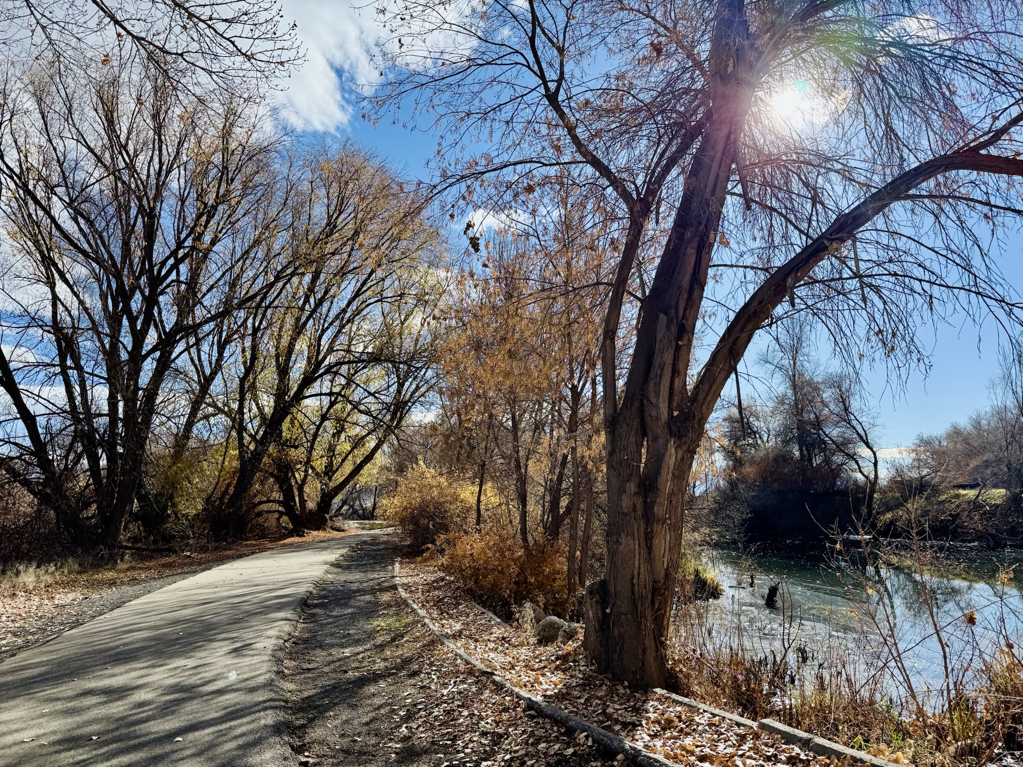 Jared Harding Wilson running back from Alligator Park - Provo River Parkway