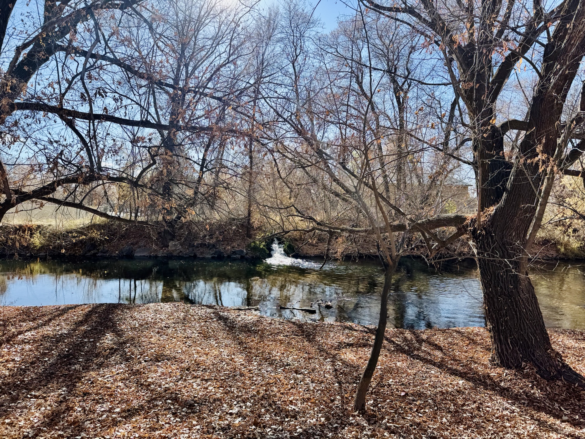 The Provo River - Jared Harding Wilson’s View from the Provo River Parkway Trail