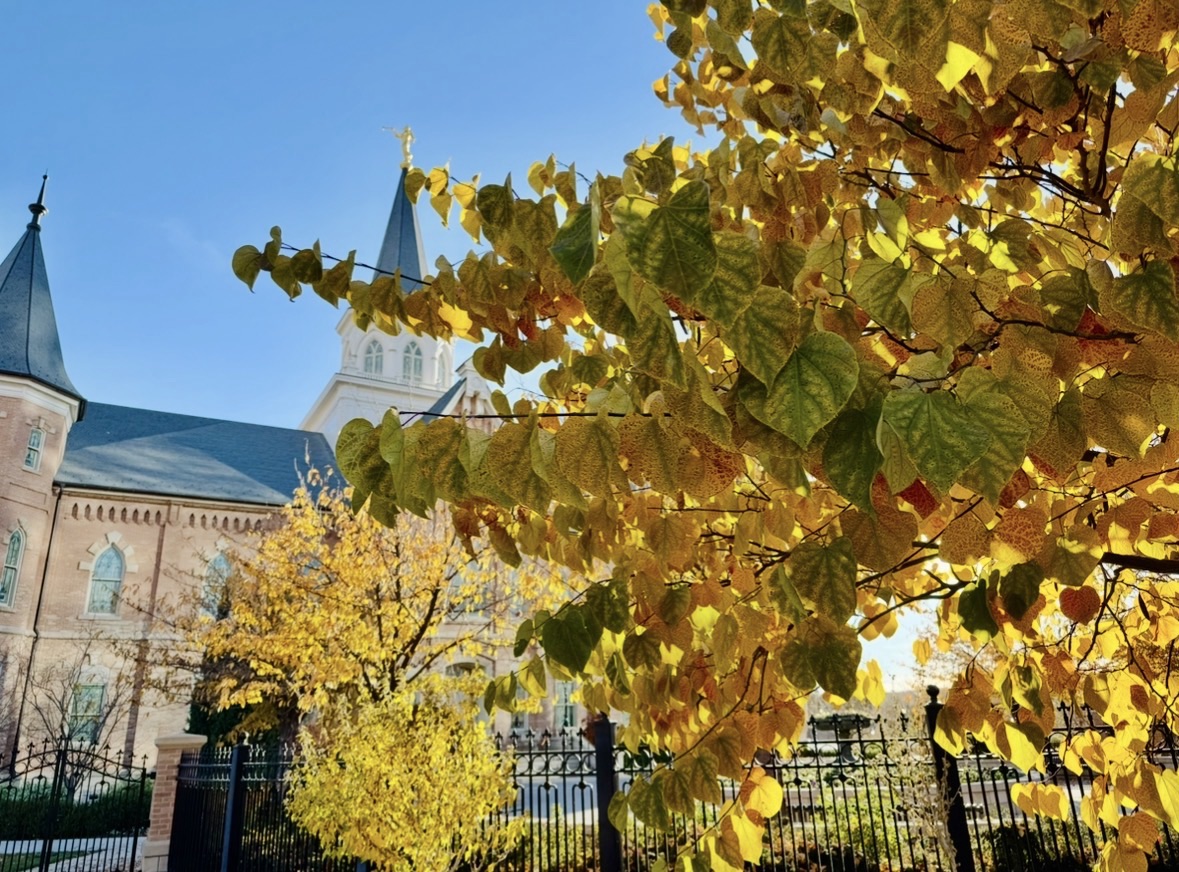 The gold Angel Moroni statue on the spire of the Provo City Center Temple with fall colors in the foreground.