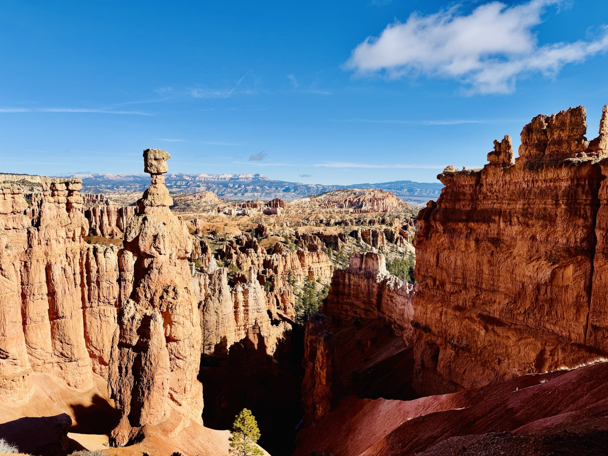 Mr. Head Rock Hoodoo at Bryce Canyon @ the Navajo Loop Trail